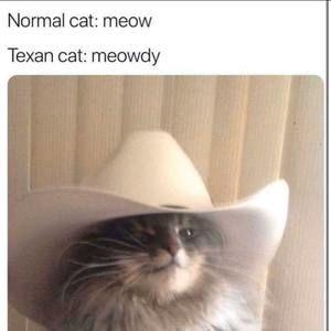 Meet your Posher, Brady